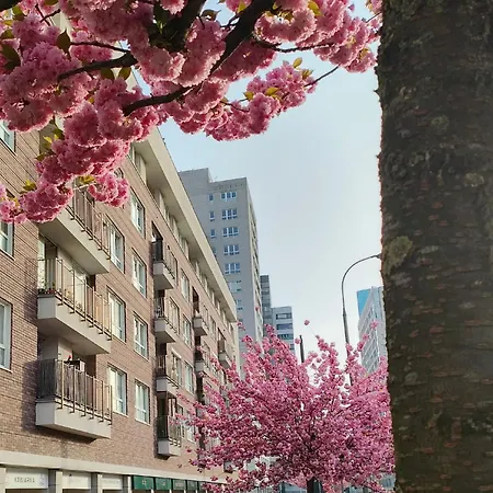 Totutotam_02 Проживание в семье *